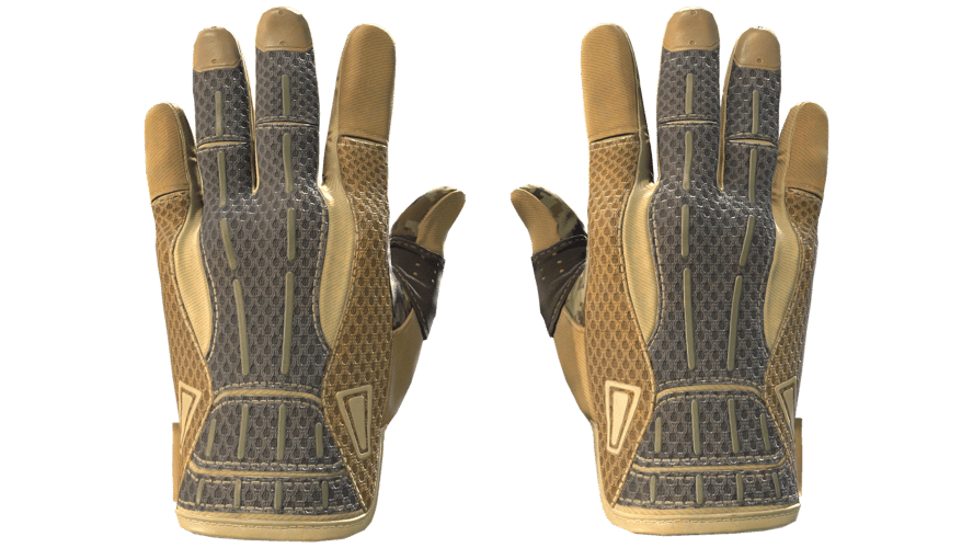 ★ Sport Gloves | Arid (Factory New)