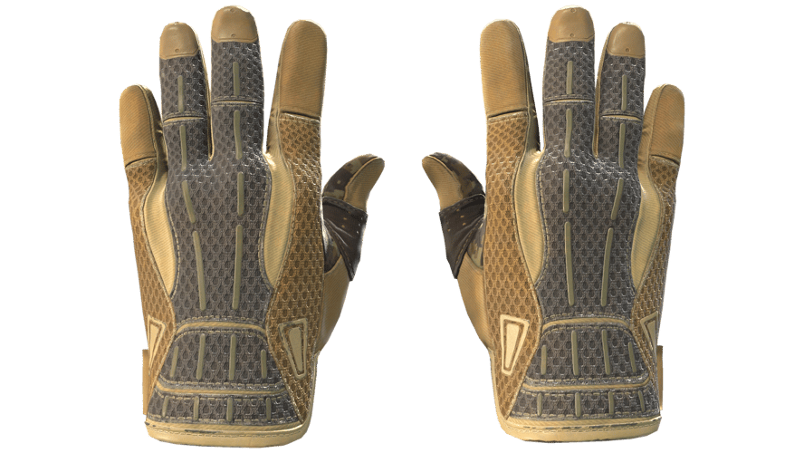 ★ Sport Gloves | Arid (Field-Tested)