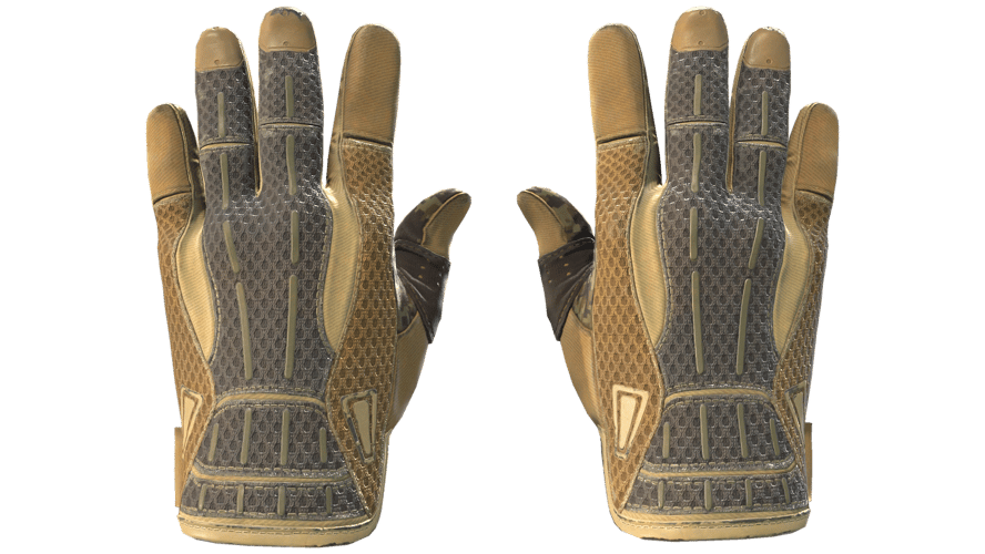 ★ Sport Gloves | Arid (Field-Tested)