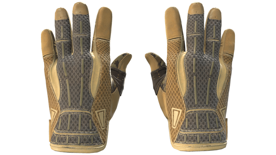 ★ Sport Gloves | Arid (Minimal Wear)