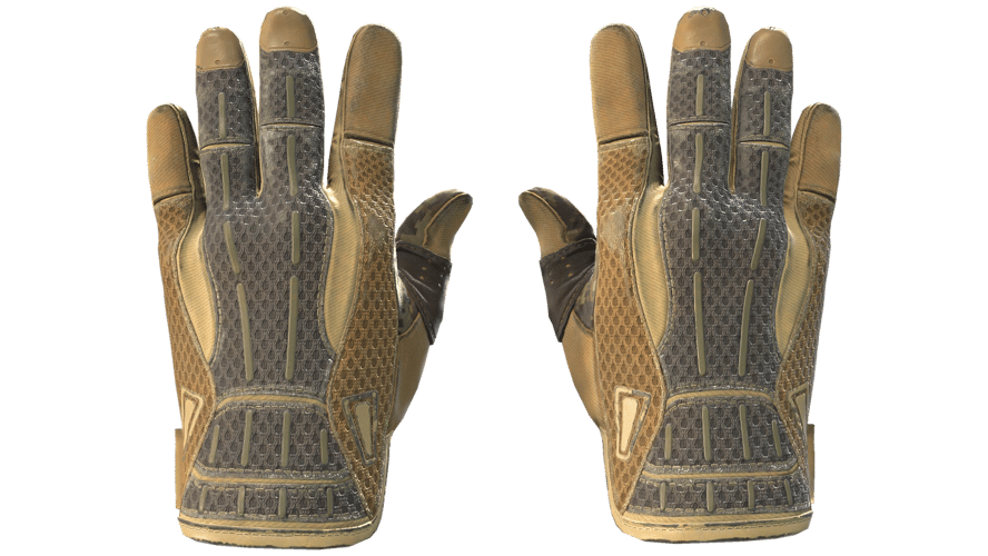 ★ Sport Gloves | Arid (Well-Worn)