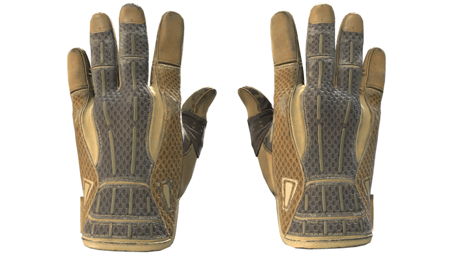 ★ Sport Gloves | Arid (Well-Worn)
