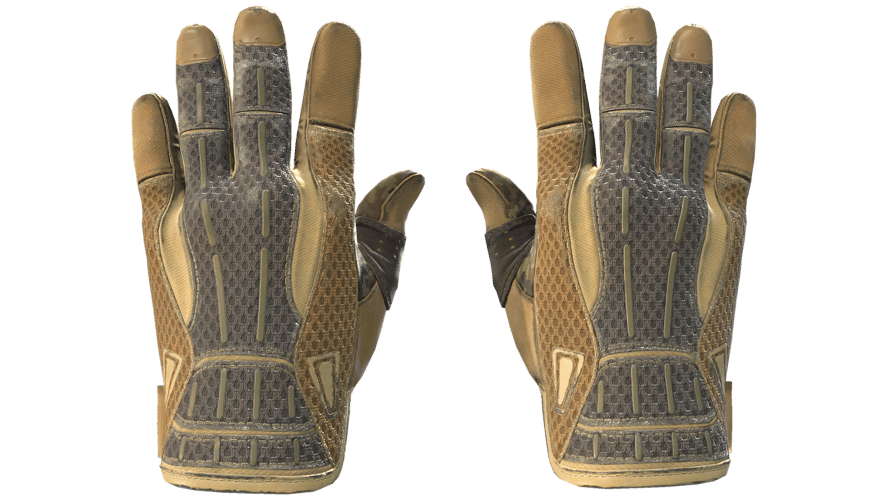 ★ Sport Gloves | Arid (Well-Worn)