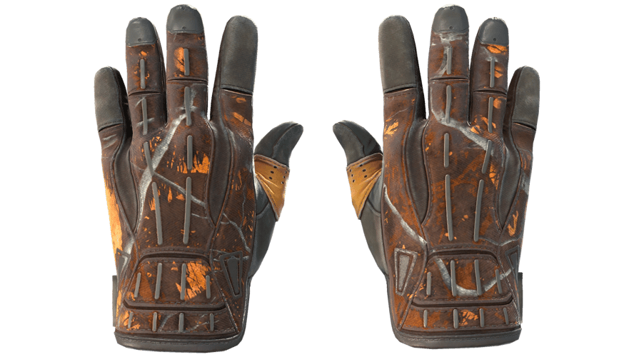★ Sport Gloves | Big Game (Battle-Scarred)