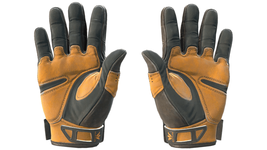 ★ Sport Gloves | Big Game (Field-Tested)