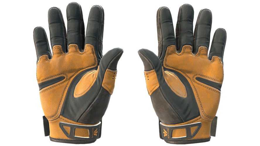 ★ Sport Gloves | Big Game (Field-Tested)