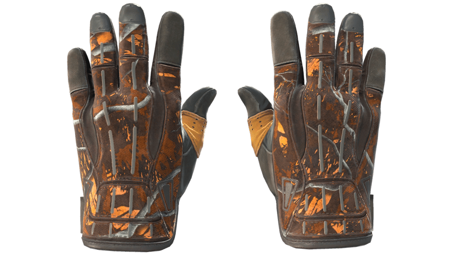 ★ Sport Gloves | Big Game (Field-Tested)