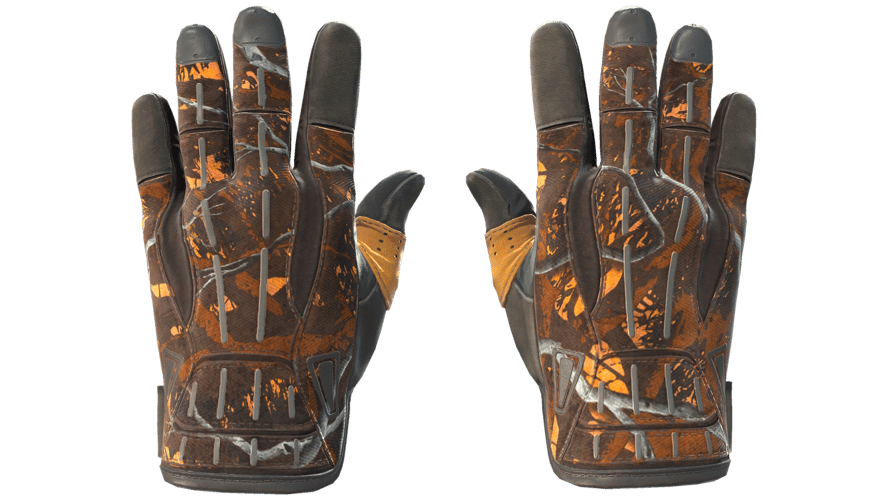 ★ Sport Gloves | Big Game (Minimal Wear)