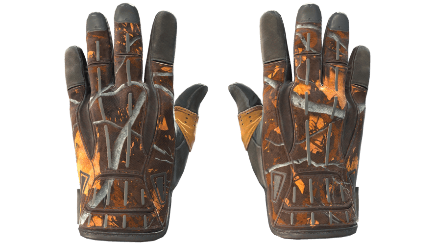 ★ Sport Gloves | Big Game (Well-Worn)