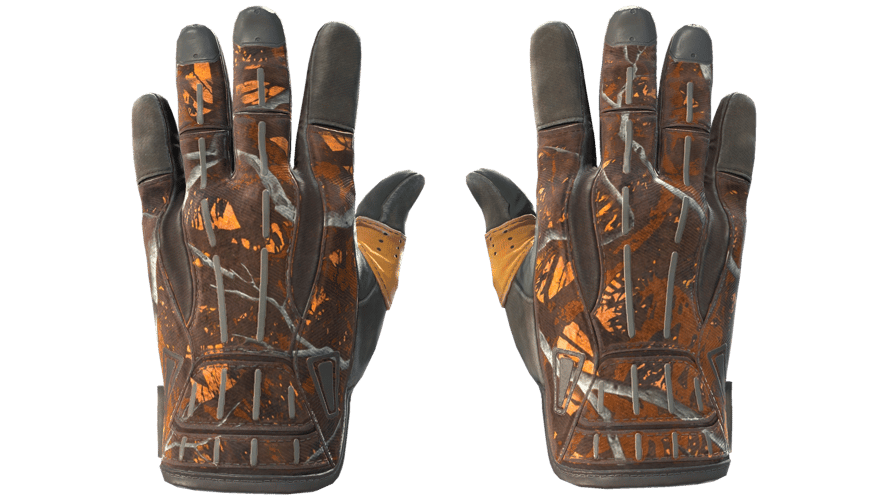 ★ Sport Gloves | Big Game (Well-Worn)