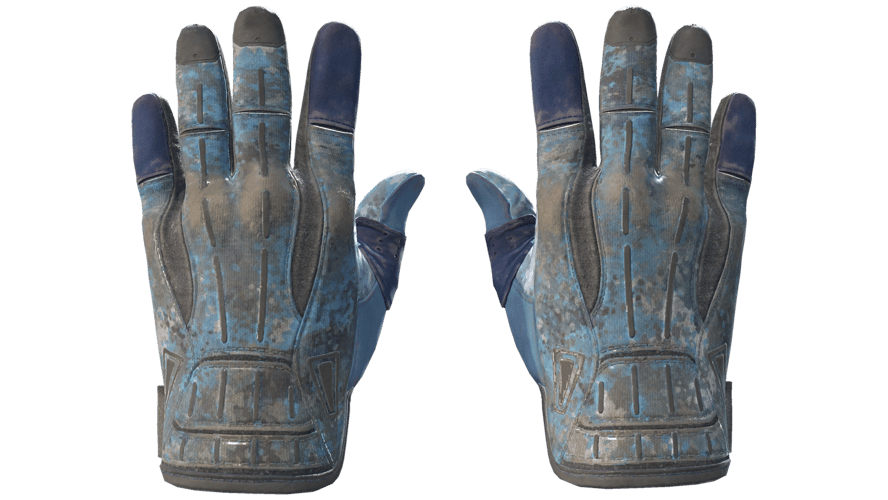 ★ Sport Gloves | Frosty (Battle-Scarred)