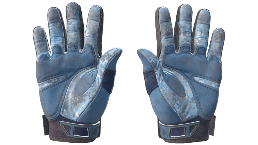 ★ Sport Gloves | Frosty (Battle-Scarred)