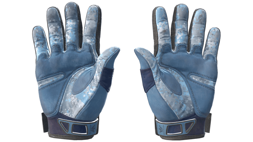 ★ Sport Gloves | Frosty (Field-Tested)