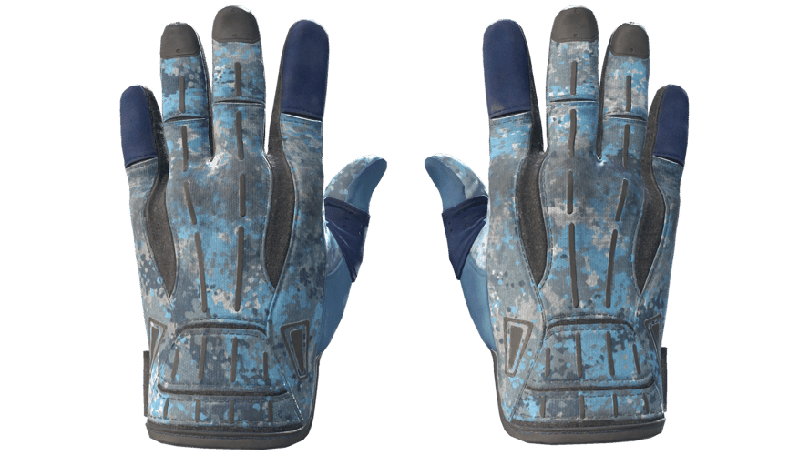 ★ Sport Gloves | Frosty (Field-Tested)