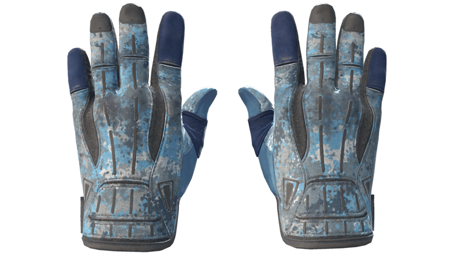 ★ Sport Gloves | Frosty (Field-Tested)