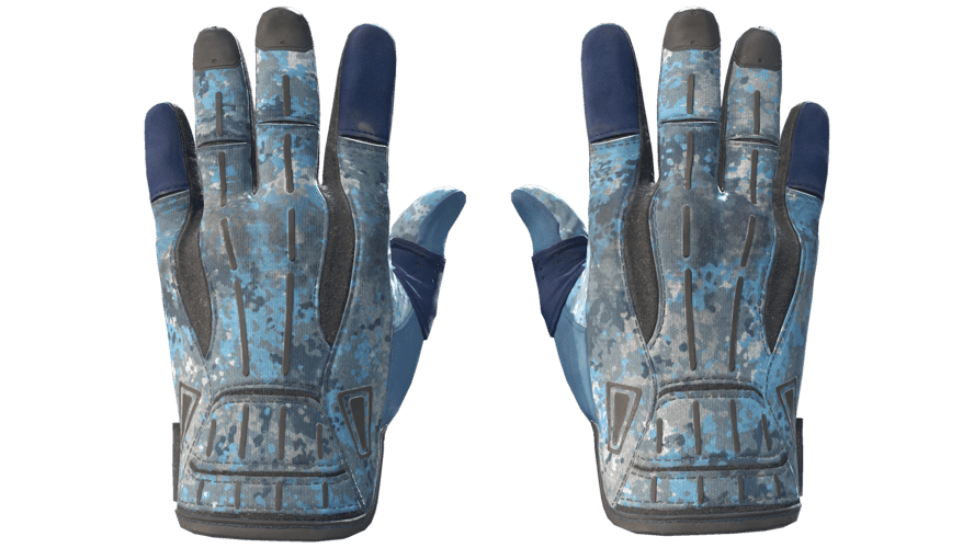 ★ Sport Gloves | Frosty (Field-Tested)