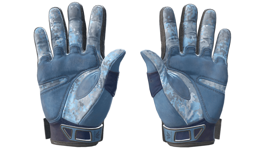 ★ Sport Gloves | Frosty (Field-Tested)