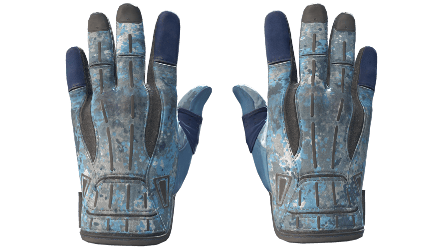 ★ Sport Gloves | Frosty (Field-Tested)
