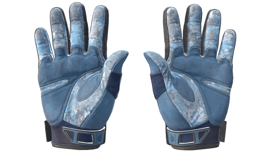 ★ Sport Gloves | Frosty (Field-Tested)