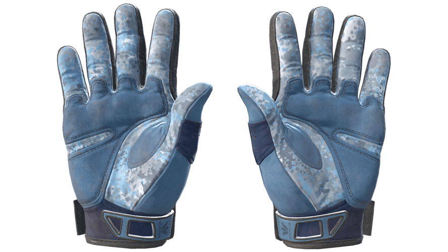★ Sport Gloves | Frosty (Field-Tested)