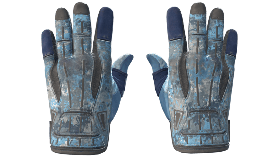 ★ Sport Gloves | Frosty (Field-Tested)