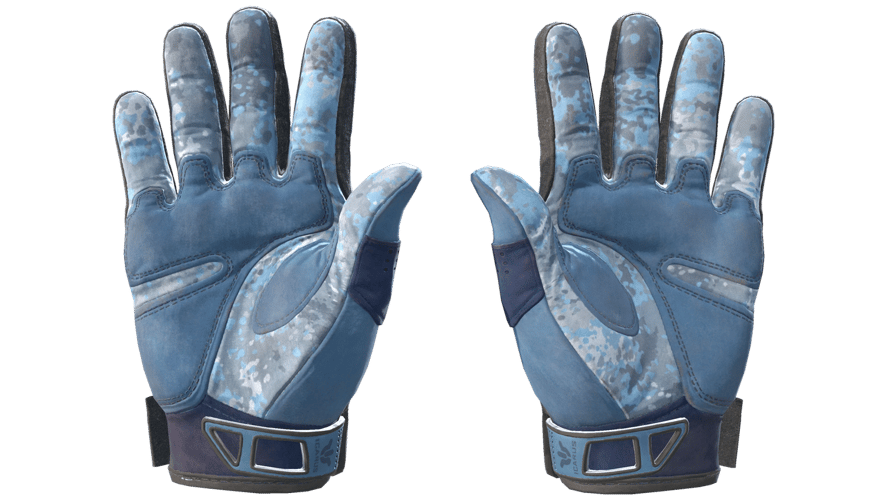 ★ Sport Gloves | Frosty (Field-Tested)