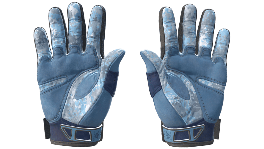 ★ Sport Gloves | Frosty (Minimal Wear)