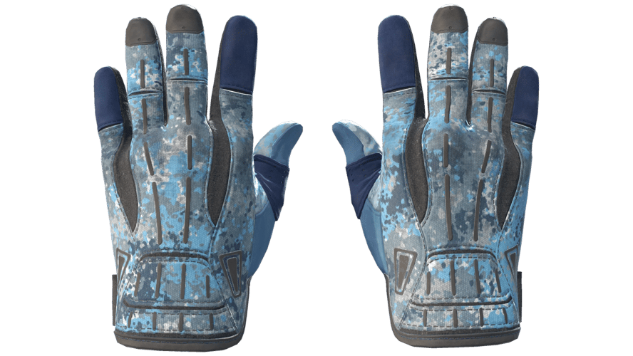 ★ Sport Gloves | Frosty (Minimal Wear)