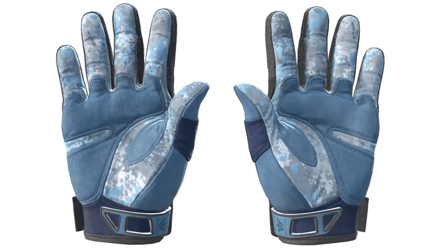 ★ Sport Gloves | Frosty (Minimal Wear)