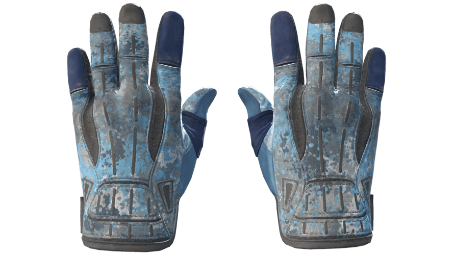 ★ Sport Gloves | Frosty (Well-Worn)