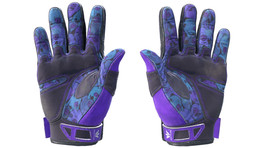 ★ Sport Gloves | Pandora's Box (Field-Tested)