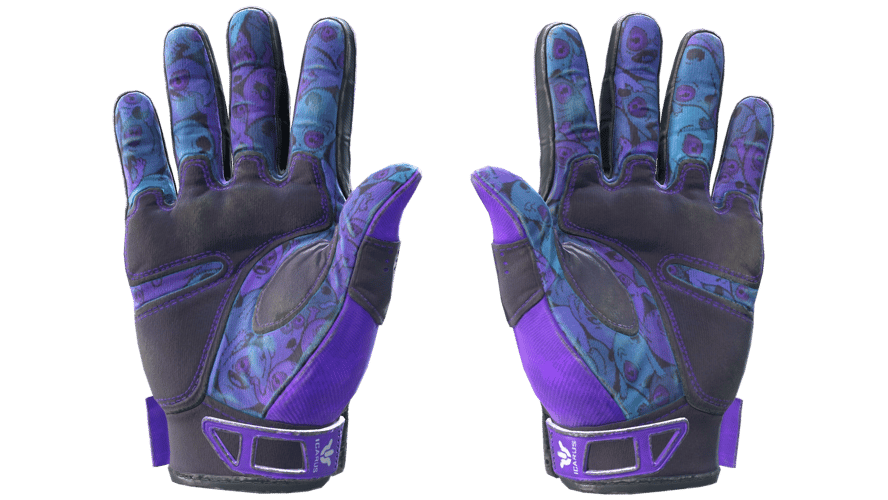 ★ Sport Gloves | Pandora's Box (Field-Tested)