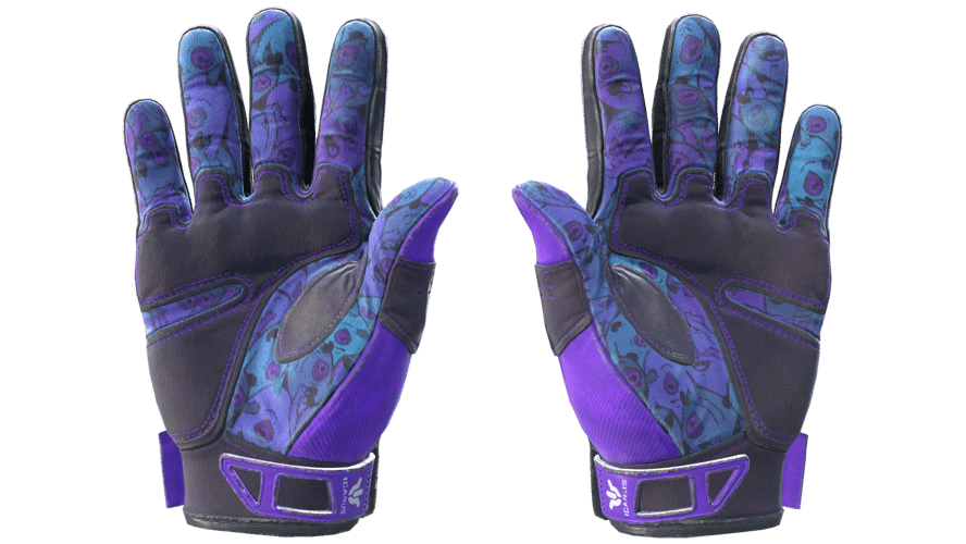 ★ Sport Gloves | Pandora's Box (Field-Tested)