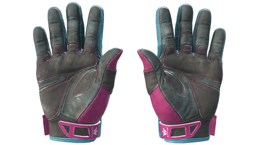 ★ Sport Gloves | Vice (Field-Tested)