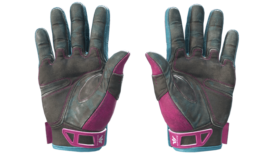 ★ Sport Gloves | Vice (Field-Tested)