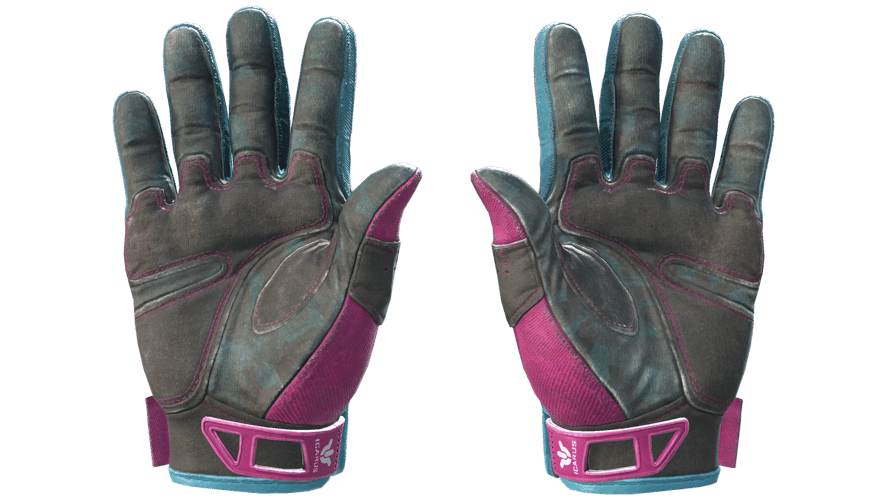 ★ Sport Gloves | Vice (Field-Tested)