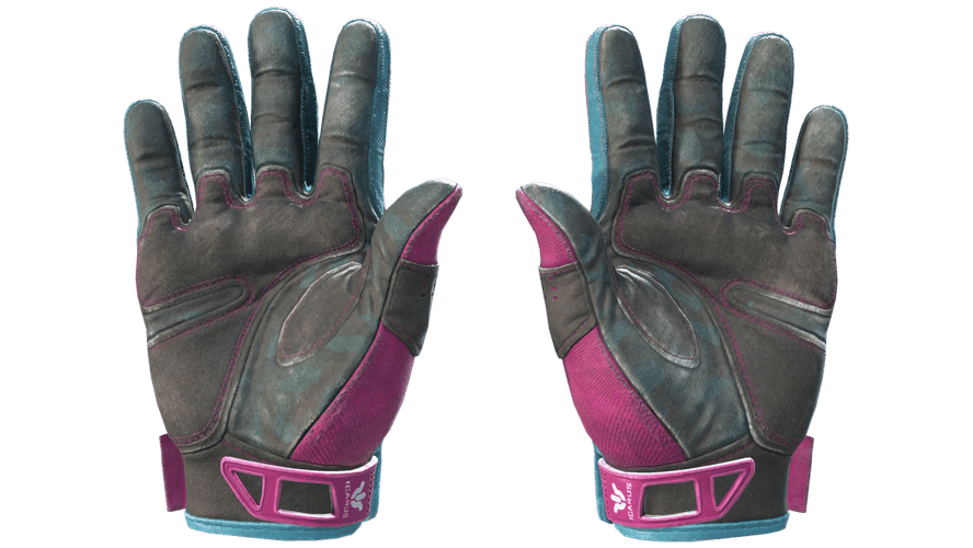 ★ Sport Gloves | Vice (Field-Tested)