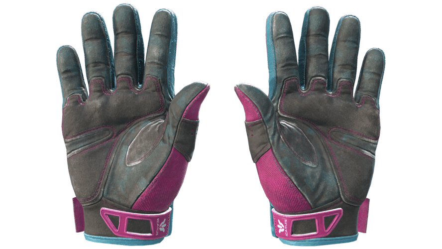 ★ Sport Gloves | Vice (Field-Tested)