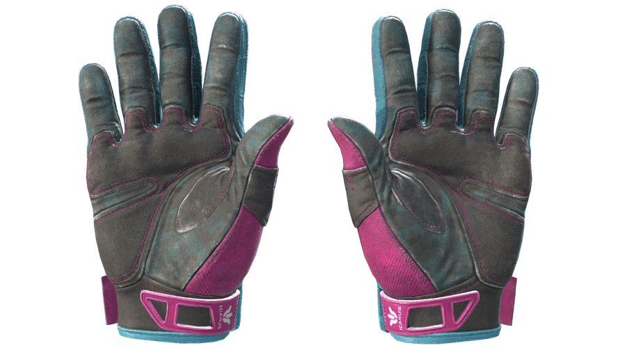 ★ Sport Gloves | Vice (Field-Tested)