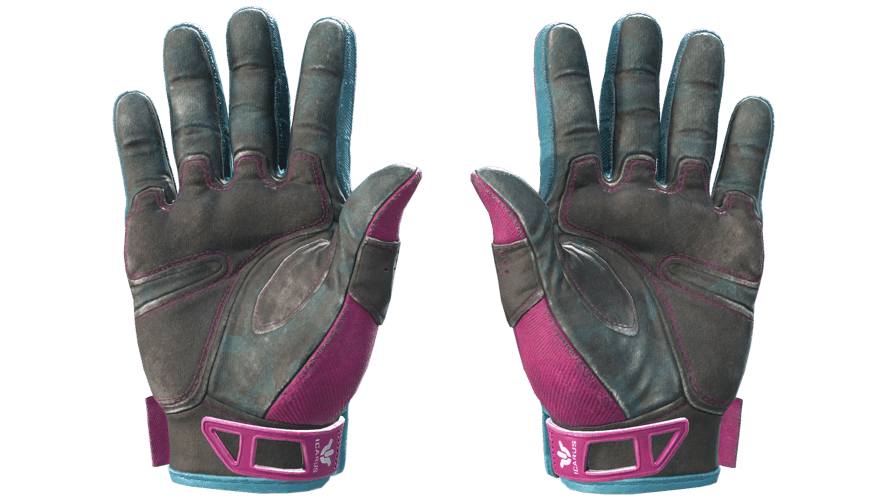 ★ Sport Gloves | Vice (Field-Tested)