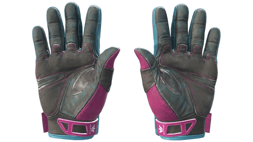 ★ Sport Gloves | Vice (Field-Tested)