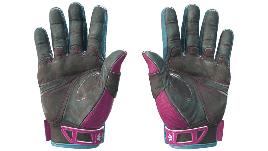 ★ Sport Gloves | Vice (Field-Tested)