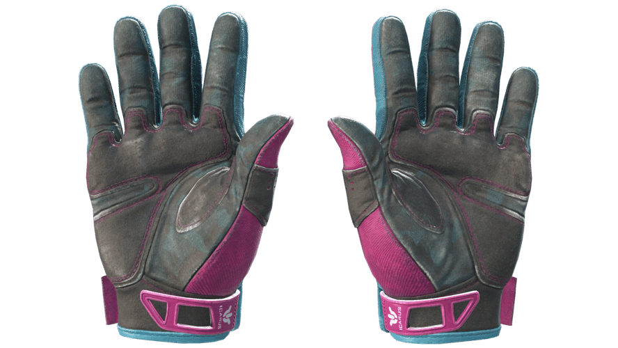 ★ Sport Gloves | Vice (Field-Tested)