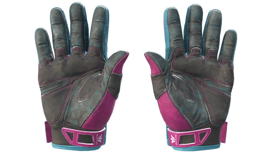 ★ Sport Gloves | Vice (Field-Tested)