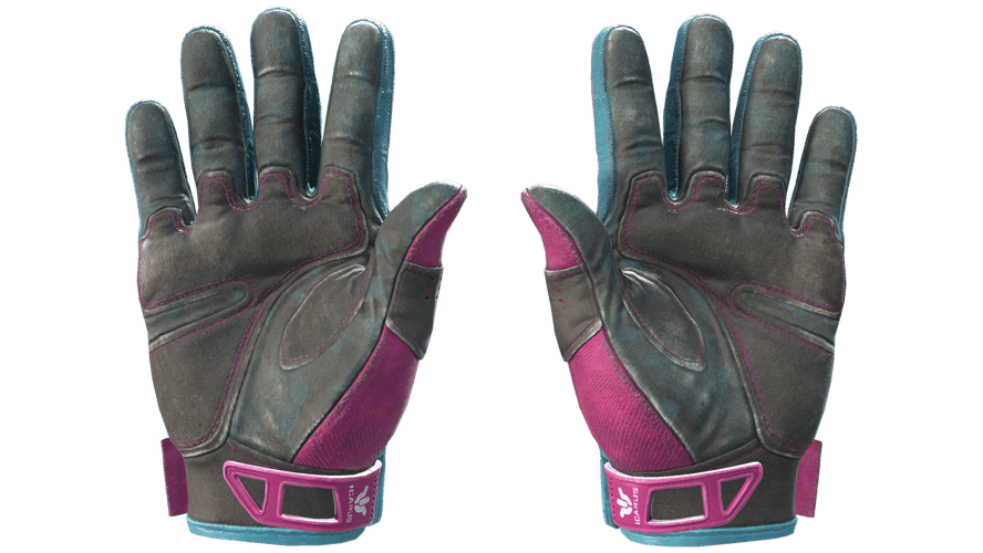 ★ Sport Gloves | Vice (Field-Tested)