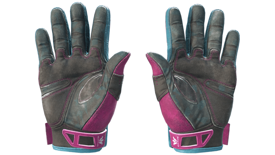 ★ Sport Gloves | Vice (Field-Tested)