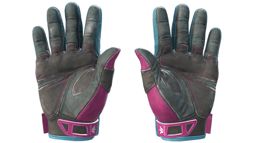 ★ Sport Gloves | Vice (Field-Tested)
