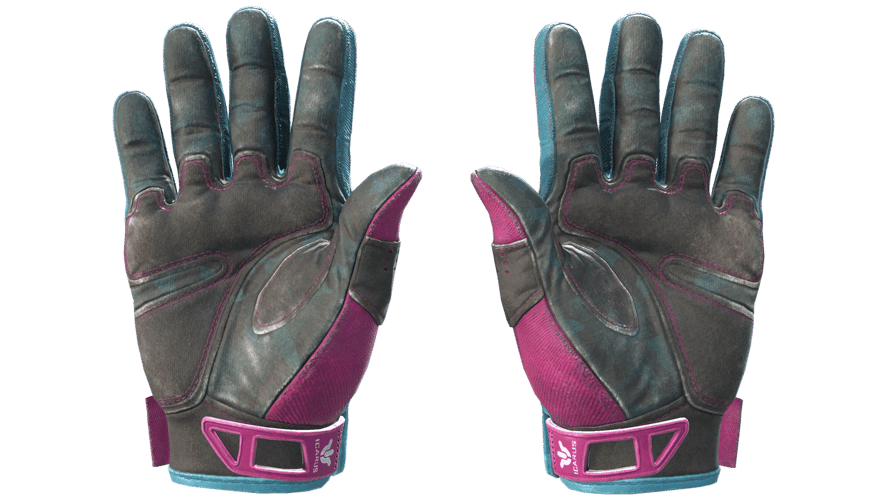 ★ Sport Gloves | Vice (Field-Tested)