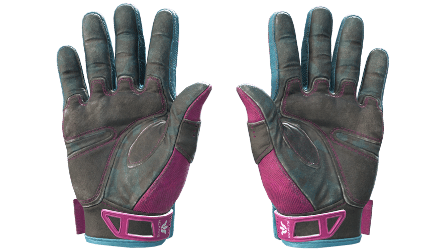 ★ Sport Gloves | Vice (Field-Tested)