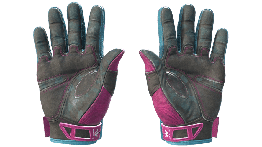 ★ Sport Gloves | Vice (Field-Tested)